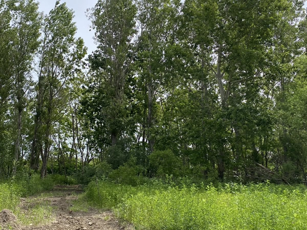 銭函造成工事②